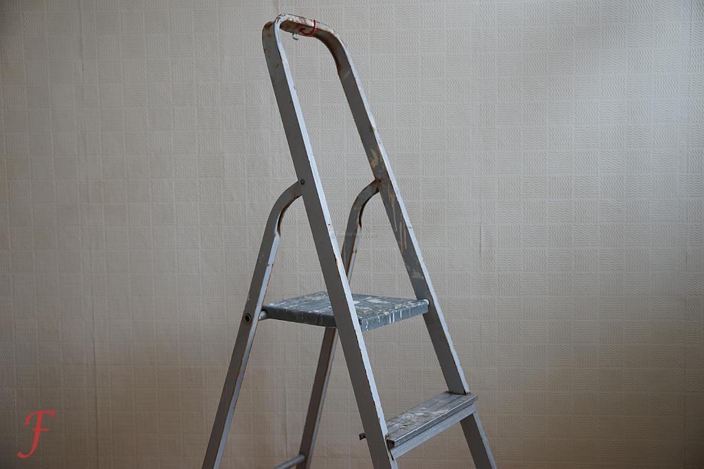 Climbing Life's Ladder