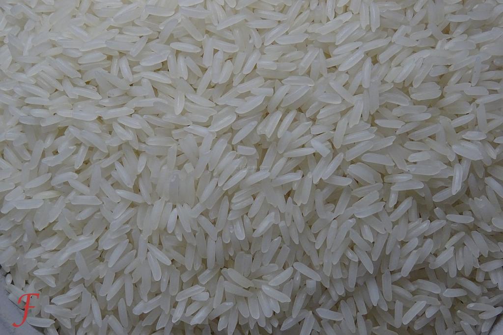 Rice Rice Baby