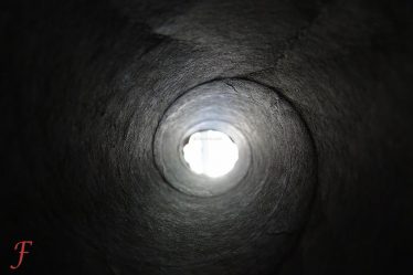 Tissue Tunnel