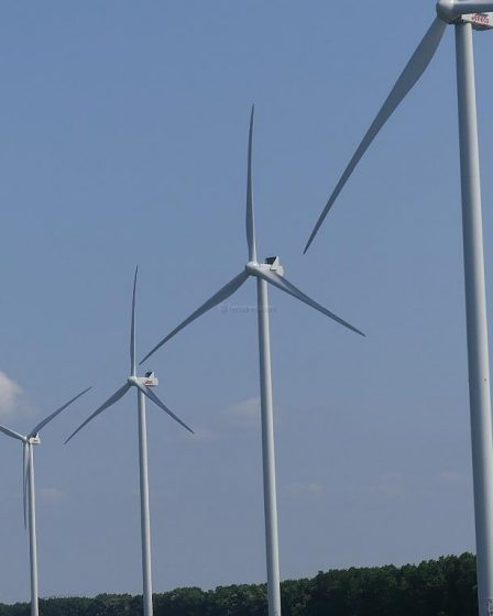 Wind Energisers